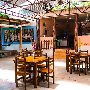 ** Hostel Yaxche Centro Y Camping Mexico